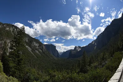 DSC_4329 (Large).JPG